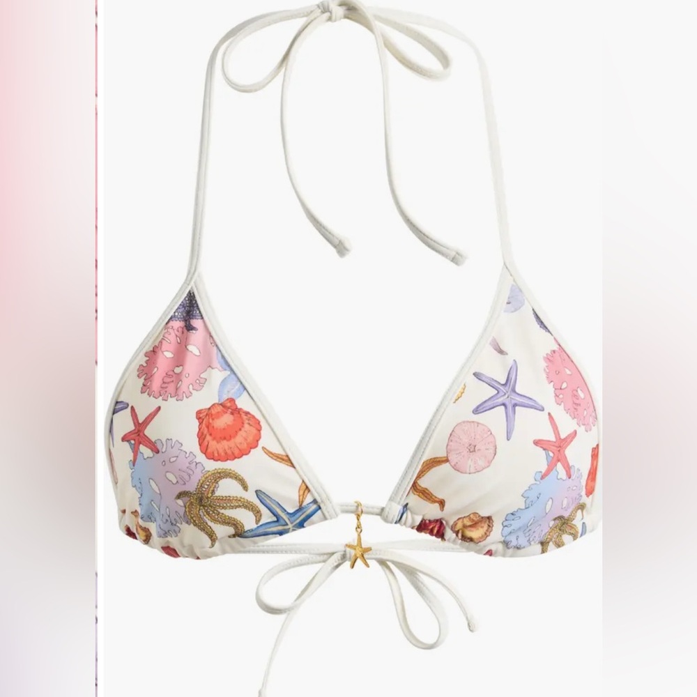 NWT Pacsun Starfish Corinne Triangle Bikini Top with Charm